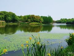 -尚贤河湿地