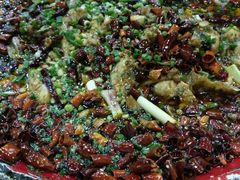 -东吴霸王兔(松青路店)