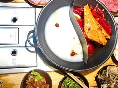 -阳阳老火锅(小南门店)