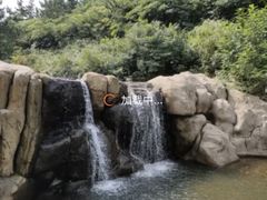 -鑫明明拉面(宁化路店)