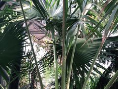 -北京植物园-展览温室