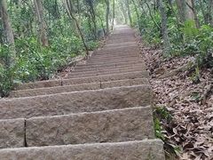 -梧桐山风景名胜区