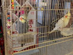 -潇湘·永州会馆(百子湾店)