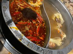 -销魂美蛙鱼头火锅(上海首店)