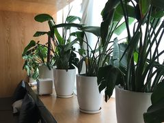 -谷悦SPA(王府井店)