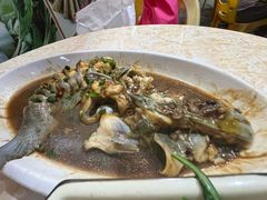 -开心农家菜