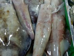 -鸿港海鲜批发市场