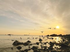 -银沙滩浴场