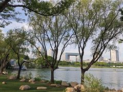 -渤公岛生态公园