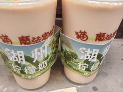 -猫的魔法密林(衣裳街店)