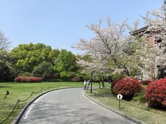 -上海瑞金洲际酒店