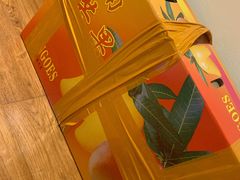 -三亚新鸿港水果一级批发市场