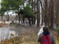 -东湖落雁景区