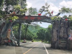 -参仙谷生态旅游度假区