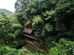 -莫干山风景区
