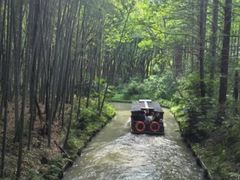 -同里国家湿地公园