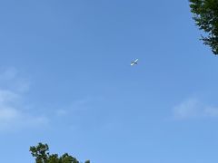 -九科绿洲