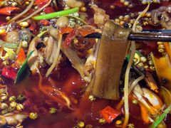 -宽口美蛙鱼头(大唐西市店)