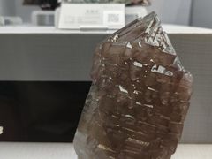 -湖南省地质博物馆