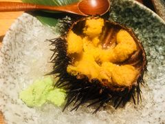 活海胆-千代武日本料理(哈西店)