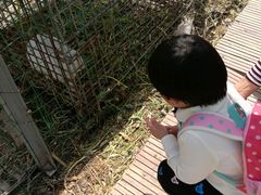 -青浦采草莓天天草莓园