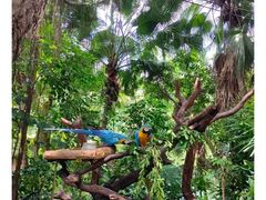 -广州长隆野生动物世界