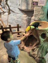 -Zoolung Zoolung动物主题公园(海信广场店)