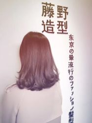 点击看大图 -藤野造型