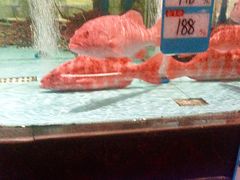-阿伟海鲜楼·福建菜(延寿店)