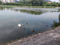 -中国农业博物馆