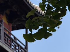 -常熟方塔园
