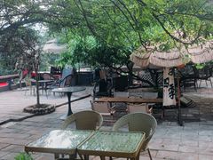 -桃源山庄·水蜜桃采摘·柴火鸡·烧烤团建(龙泉山店)