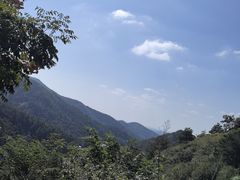 -木兰云雾山
