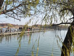 -溱湖国家湿地公园