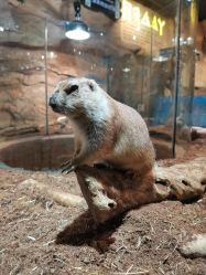 -Zoolung Zoolung动物主题公园(海信广场店)