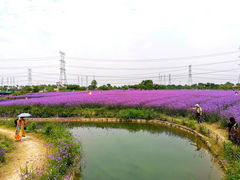 -上海杨姆庄园