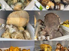 -菌之家·专业纯野生菌火锅·特色炒菌