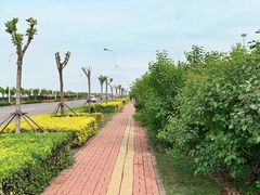 -东疆建设开发纪念公园