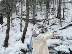 -峡谷浮石林景区