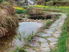 -婺源风景区
