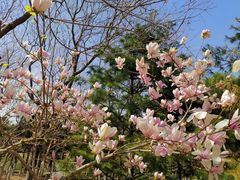 -大兴滨河森林公园