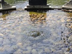 -百脉泉景区