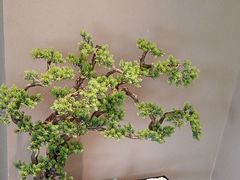 -端艾堂·SPA·艾灸(棕榈泉013店)