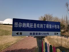 -上海佘山世茂艾美酒店