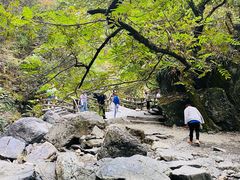 -石台牯牛降景区