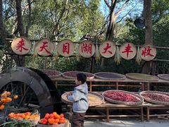 -天目湖山水园