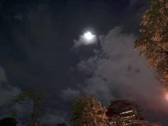 -Helens海伦司小酒馆(深圳东门店)