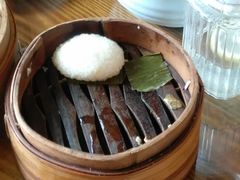 茨毛圆子-双塔老饭店