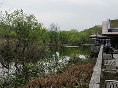 -西湖风景区-江洋畈生态公园