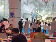 -帝企鹅自助餐厅•儿童岛•真企鹅(长隆企鹅酒店)